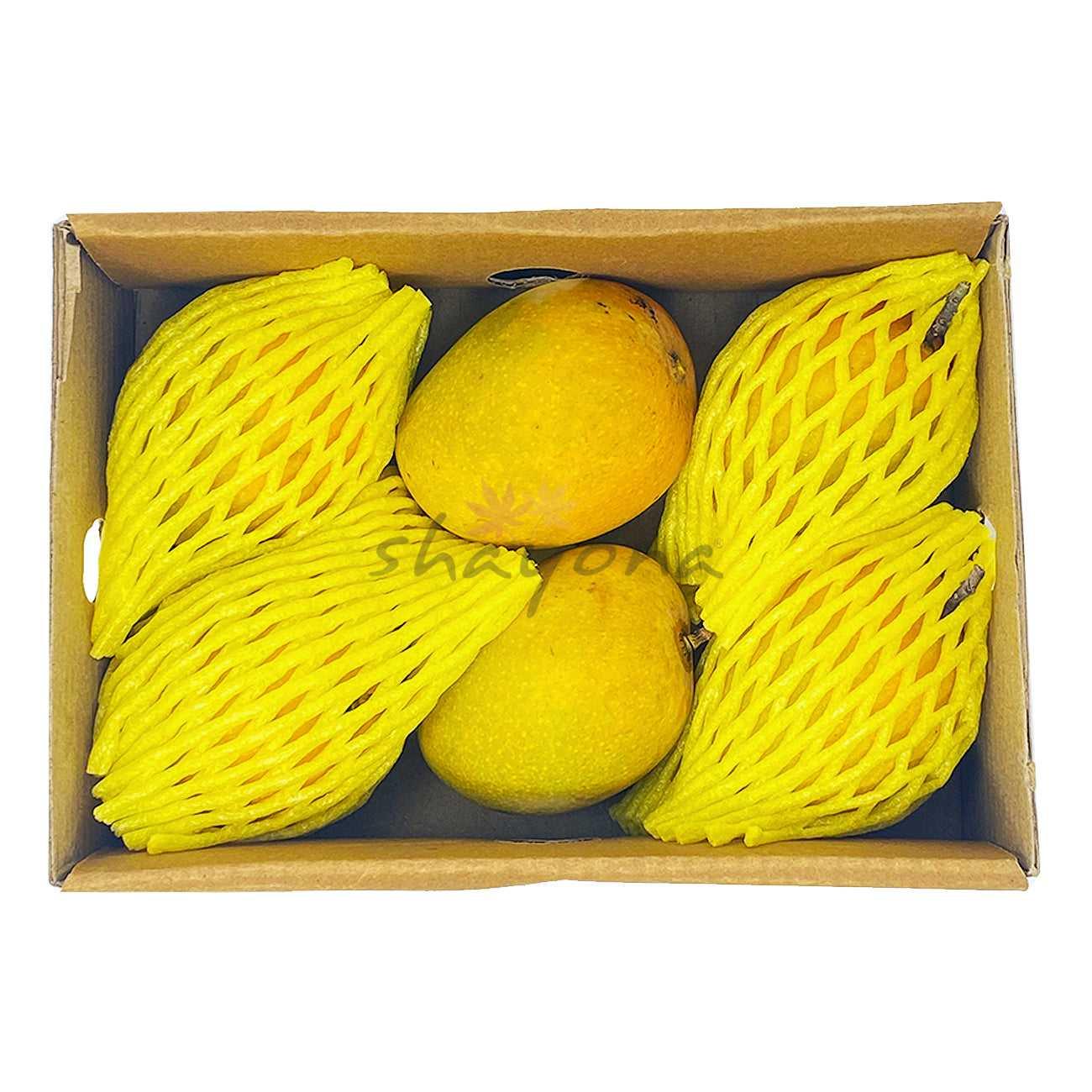 6 Alphonso Mangoes