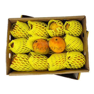 12 Alphonso Mangoes