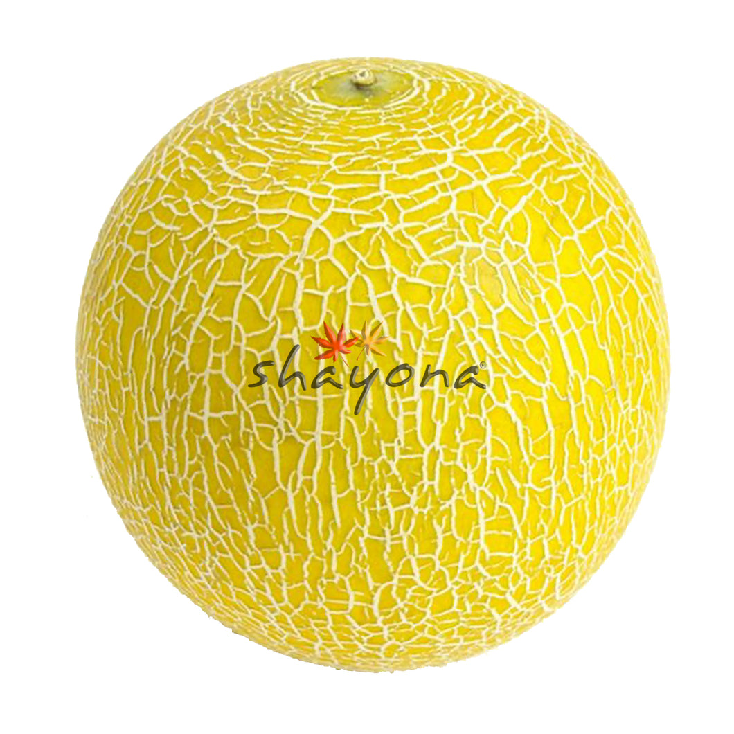 Melon - Galia