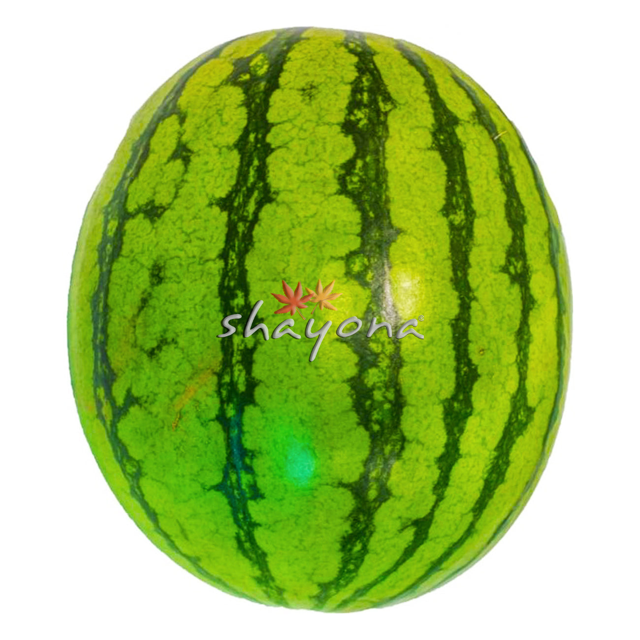Watermelon Shayona UK